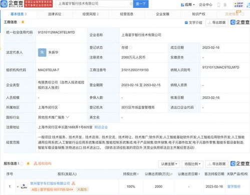 星宇股份于上海新設智行技術子公司，聚焦信息系統(tǒng)集成服務
